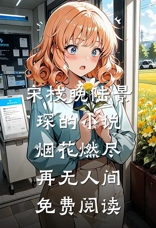 宋枝晚陆景琛的小说烟花燃尽再无人间免费阅读