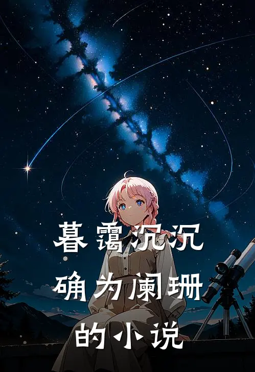 暮霭沉沉确为阑珊的小说