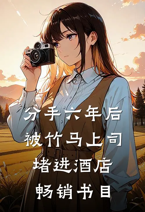 分手六年后，被竹马上司堵进酒店畅销书目