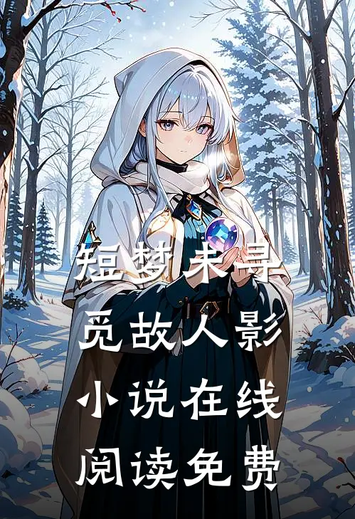 短梦未寻觅故人影小说在线阅读免费