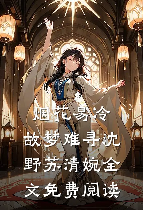 烟花易冷，故梦难寻沈野苏清婉全文免费阅读