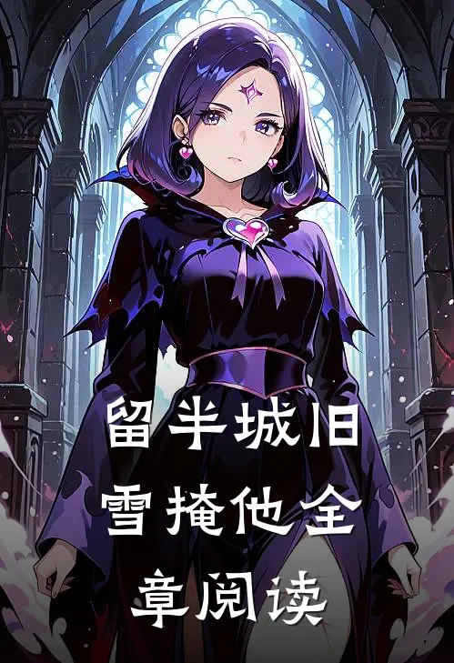 留半城旧雪掩他全章阅读