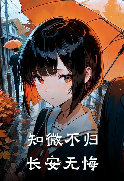 知微不归，长安无悔