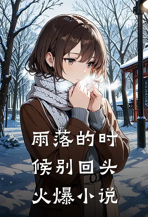 雨落的时候别回头火爆小说