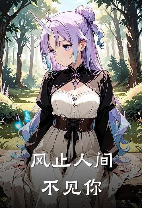 风止人间不见你