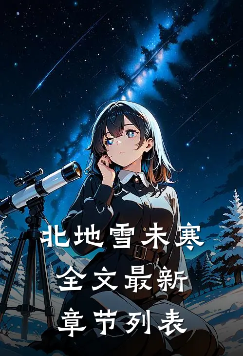 北地雪未寒全文最新章节列表