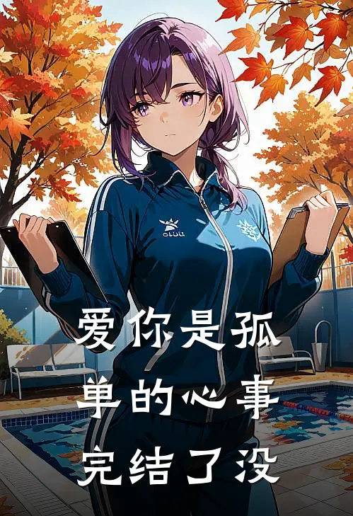 爱你是孤单的心事完结了没