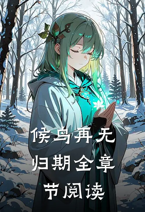 候鸟再无归期全章节阅读