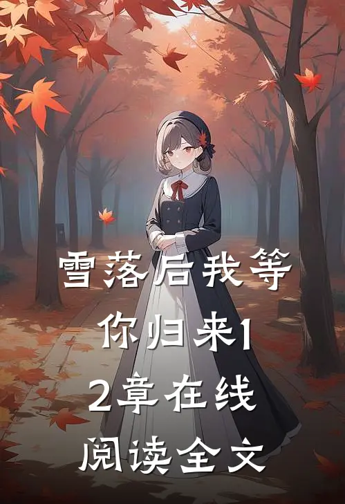雪落后我等你归来12章在线阅读全文