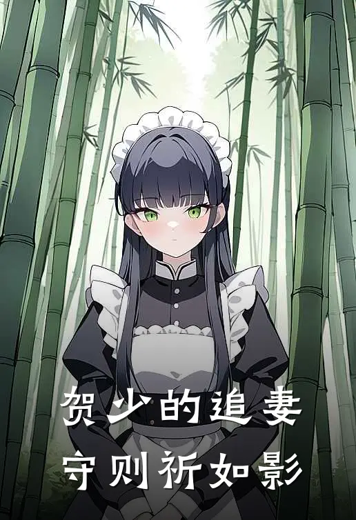 贺少的追妻守则祈如影