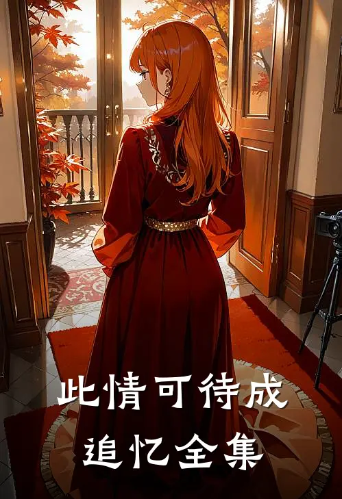 此情可待成追忆全集