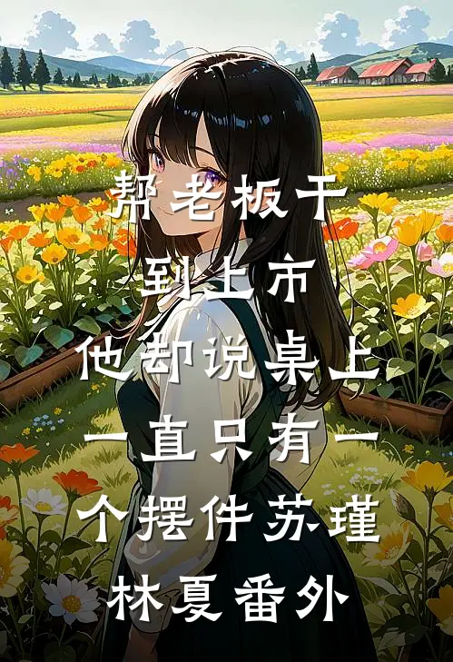 帮老板干到上市，他却说桌上一直只有一个摆件苏瑾林夏番外