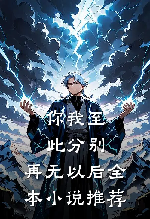 你我至此分别，再无以后全本小说推荐