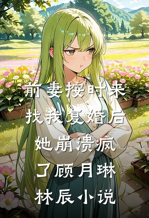 前妻按时来找我复婚后，她崩溃疯了顾月琳林辰小说