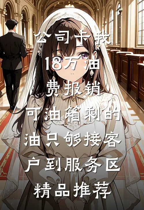 公司卡我18万油费报销，可油箱剩的油只够接客户到服务区精品推荐