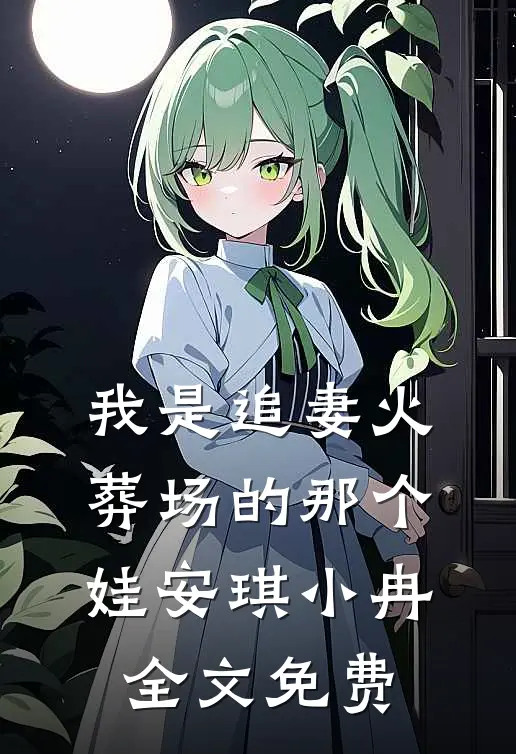 我是追妻火葬场的那个娃安琪小冉全文免费
