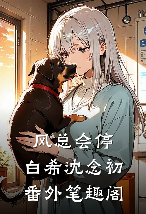 风总会停：白希沈念初番外笔趣阁
