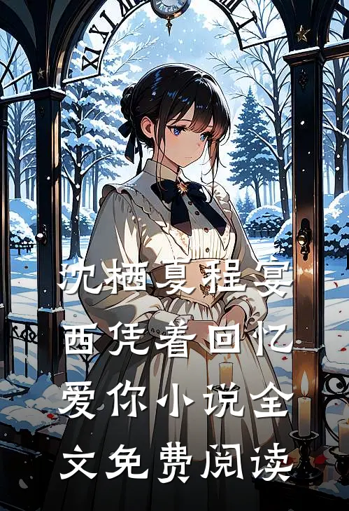 沈栖夏程宴西凭着回忆爱你小说全文免费阅读