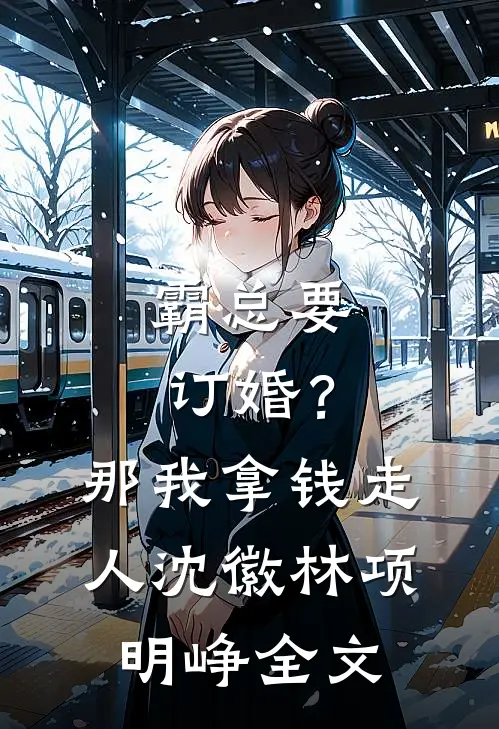 霸总要订婚？那我拿钱走人沈徽林项明峥全文