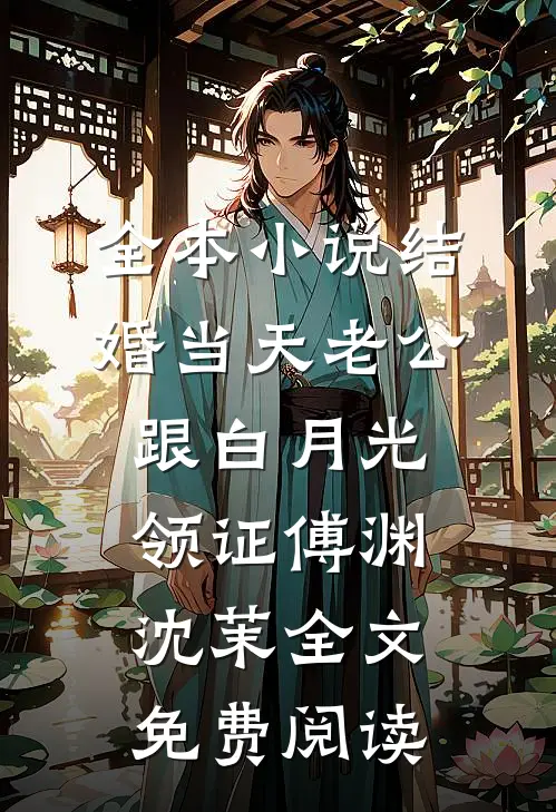 全本小说结婚当天老公跟白月光领证傅渊沈茉全文免费阅读