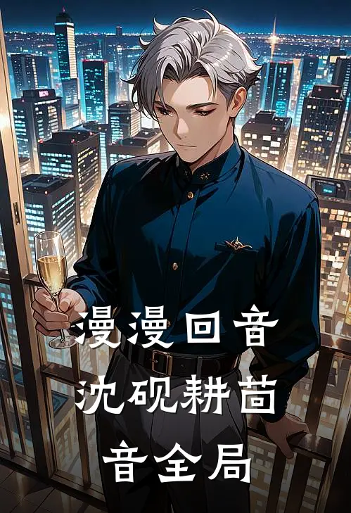漫漫回音沈砚耕茴音全局