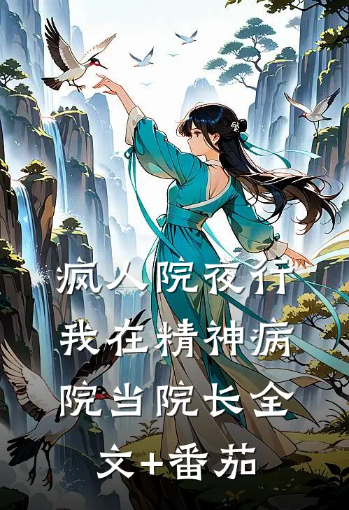 疯人院夜行：我在精神病院当院长全文+番茄