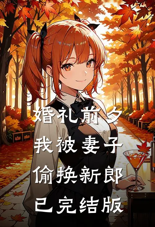 婚礼前夕，我被妻子偷换新郎已完结版