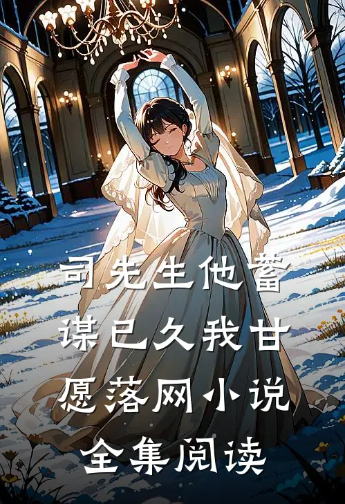 司先生他蓄谋已久我甘愿落网小说全集阅读