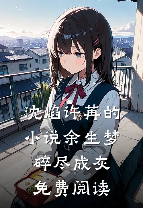 沈焰许苒的小说余生梦碎尽成灰免费阅读