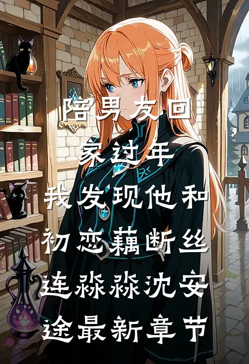 陪男友回家过年，我发现他和初恋藕断丝连淼淼沈安途最新章节