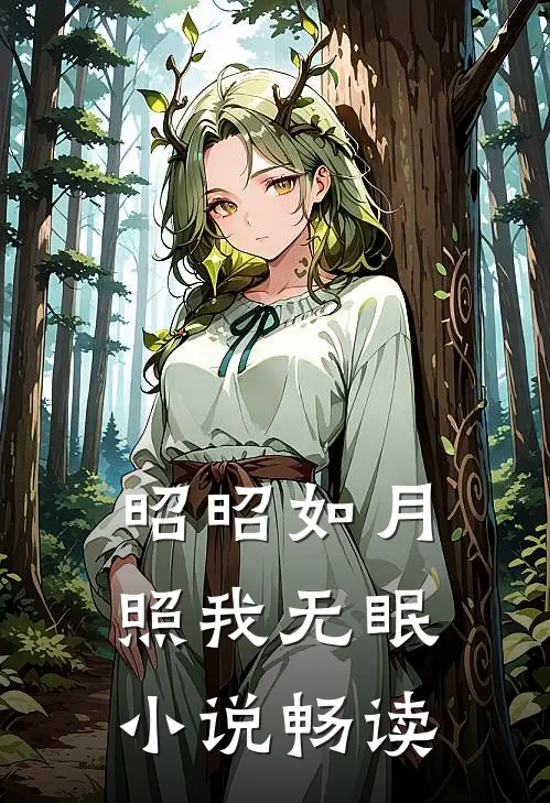 昭昭如月，照我无眠小说畅读