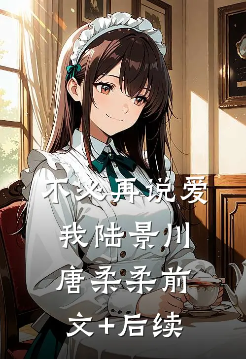 不必再说爱我陆景川唐柔柔前文+后续
