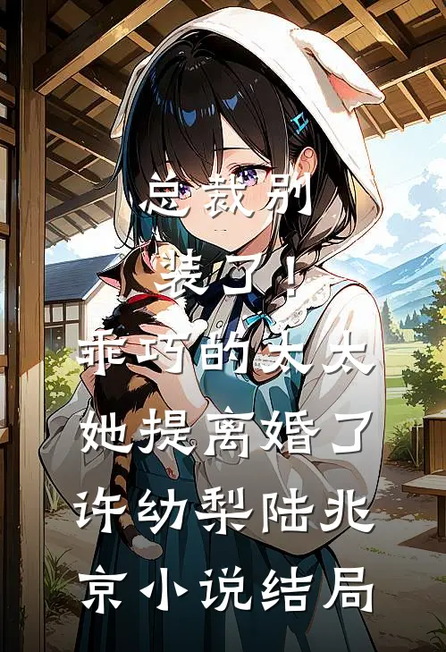 总裁别装了！乖巧的太太她提离婚了许幼梨陆兆京小说结局