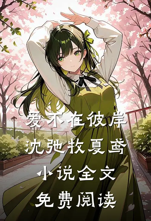 爱不在彼岸沈弛牧夏鸢小说全文免费阅读