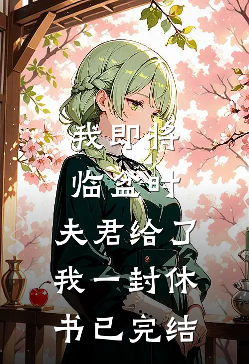 我即将临盆时，夫君给了我一封休书已完结