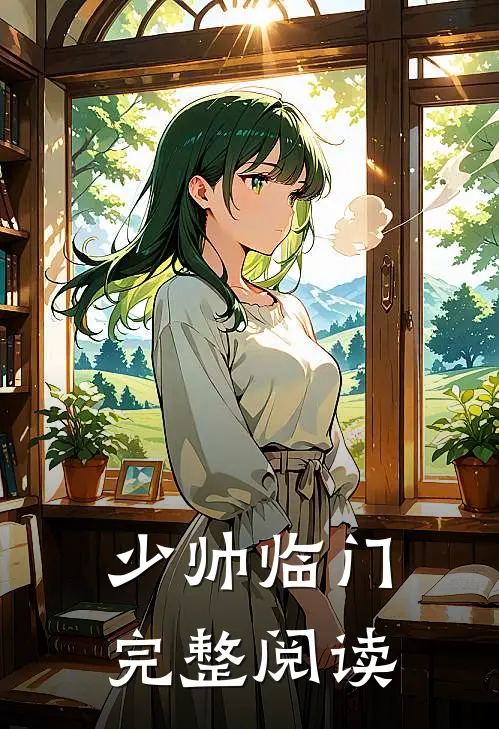 少帅临门完整阅读