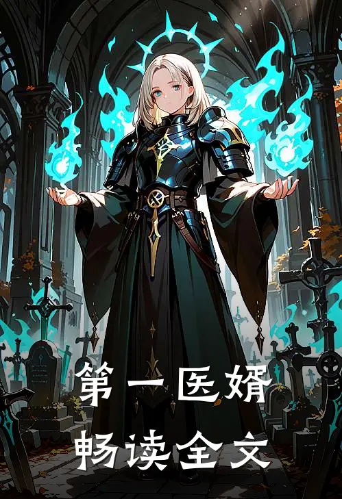 第一医婿畅读全文