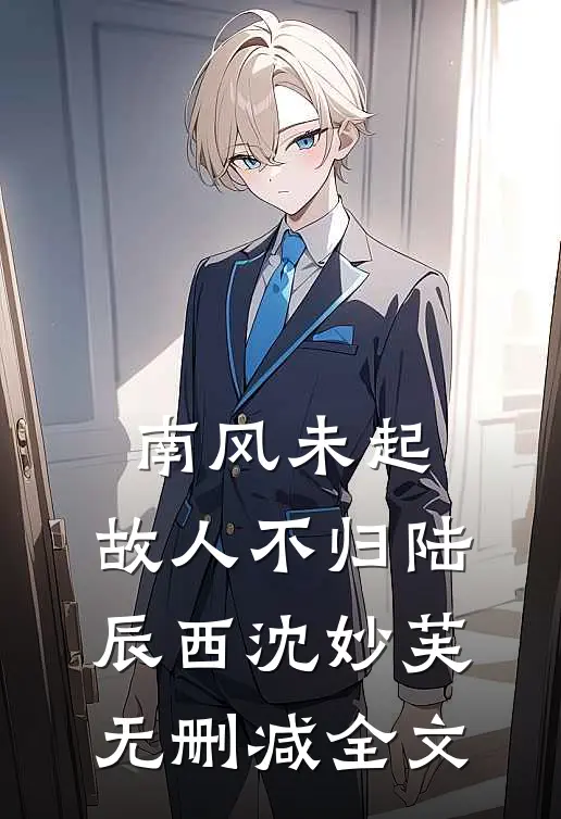 南风未起，故人不归陆辰西沈妙芙无删减全文