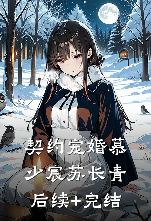 契约宠婚慕少宸苏长青后续+完结