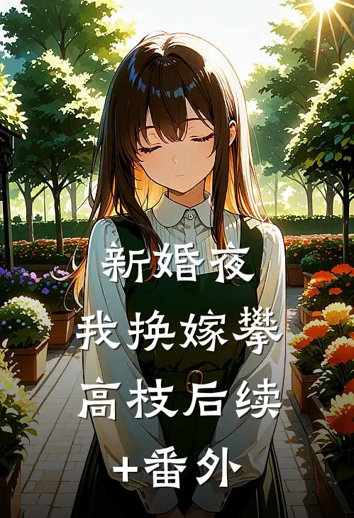 新婚夜，我换嫁攀高枝后续+番外
