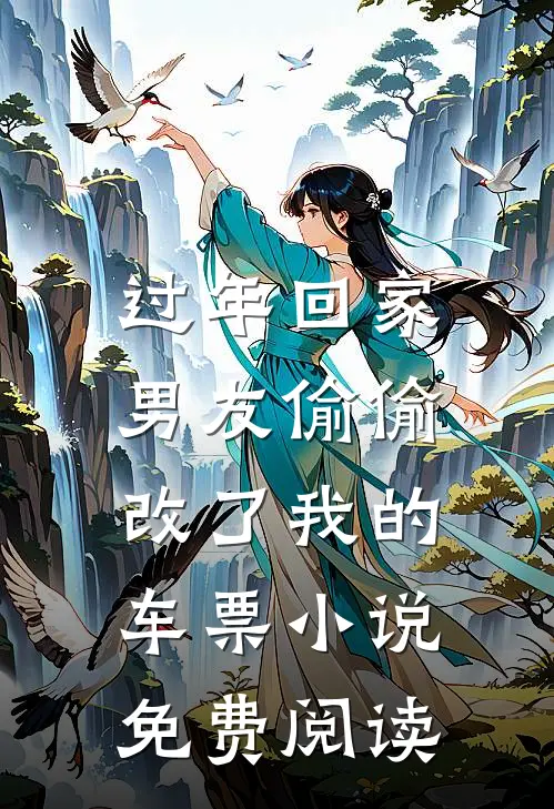 过年回家，男友偷偷改了我的车票小说免费阅读