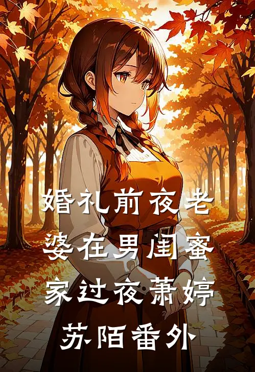 婚礼前夜老婆在男闺蜜家过夜萧婷苏陌 番外