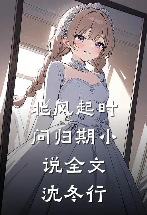 北风起时问归期小说全文沈冬行