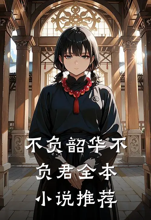 不负韶华不负君全本小说推荐