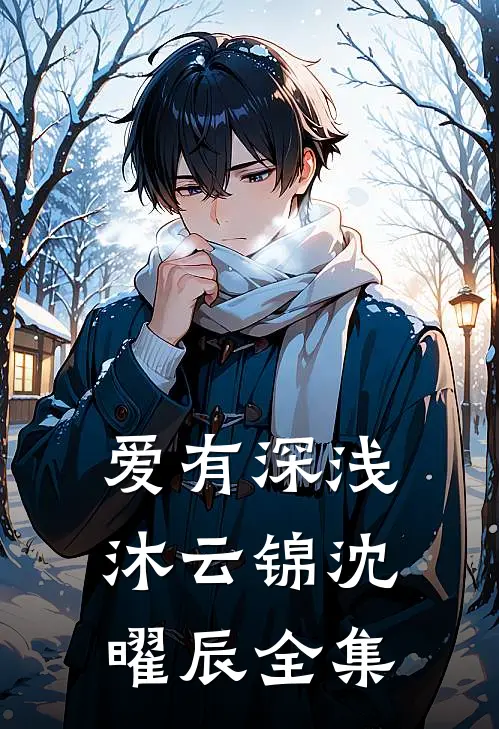 爱有深浅沐云锦沈曜辰全集