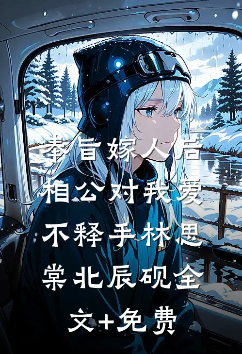 奉旨嫁人后，相公对我爱不释手林思棠北辰砚全文+免费