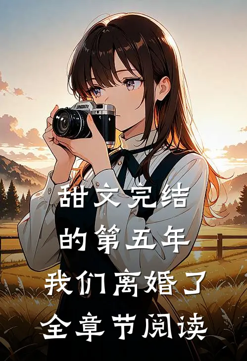 甜文完结的第五年，我们离婚了全章节阅读