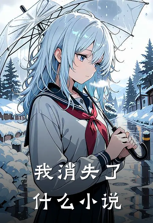 我消失了什么小说