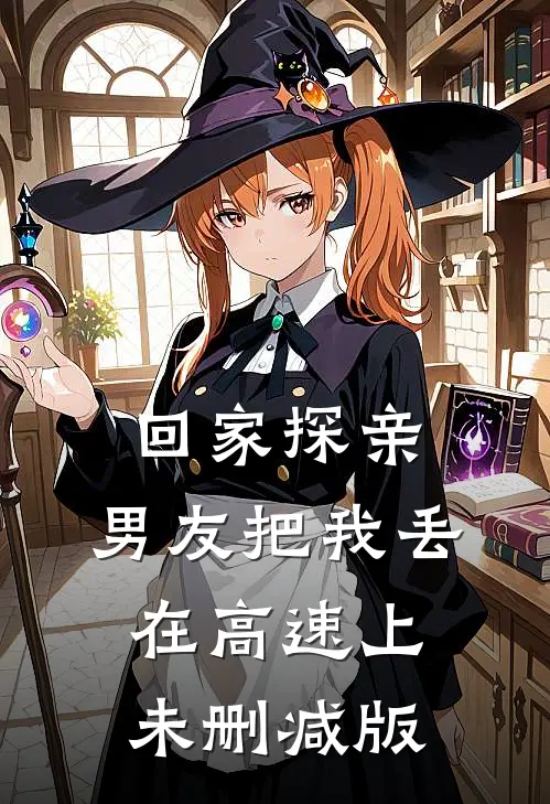 回家探亲，男友把我丢在高速上未删减版