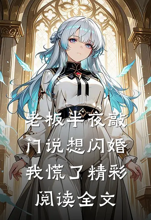 老板半夜敲门说想闪婚，我慌了精彩阅读全文